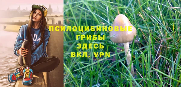 первитин Пестово