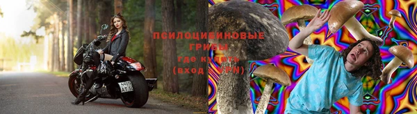 а пвп мука Армянск