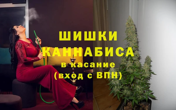 прущая мука Пересвет