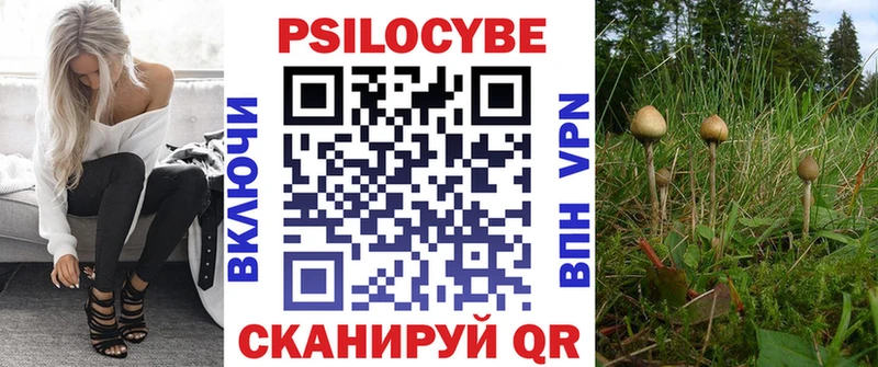 Галлюциногенные грибы Psilocybine cubensis  Певек 